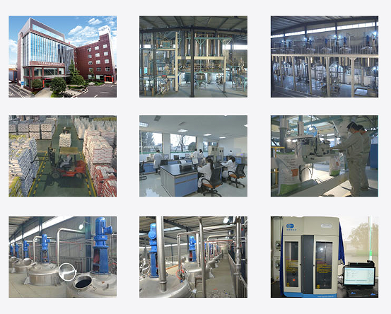 水産養殖(高く有効な水溶性カルシウムおよび有機性カルシウム)のための極度の鉱物0