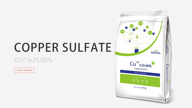 Cu 25% Inorganic Trace Minerals GMP Copper Sulfate  For Feed Additives